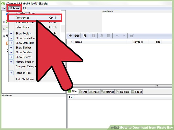 How To Download Torrent File From The Pirate Bay